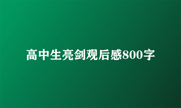 高中生亮剑观后感800字