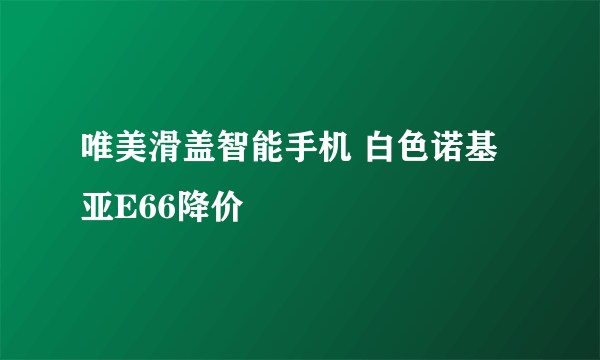 唯美滑盖智能手机 白色诺基亚E66降价