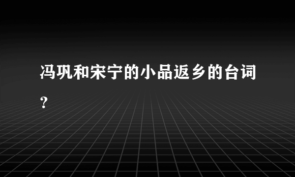 冯巩和宋宁的小品返乡的台词？