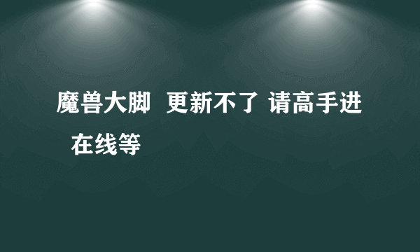 魔兽大脚  更新不了 请高手进   在线等