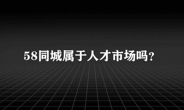 58同城属于人才市场吗？