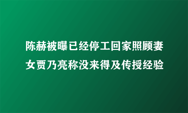 陈赫被曝已经停工回家照顾妻女贾乃亮称没来得及传授经验