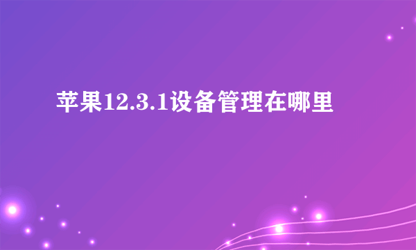 苹果12.3.1设备管理在哪里