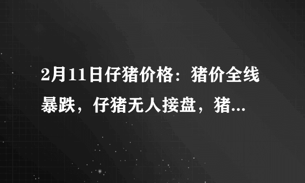 2月11日仔猪价格：猪价全线暴跌，仔猪无人接盘，猪市“崩盘”？