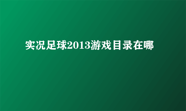 实况足球2013游戏目录在哪