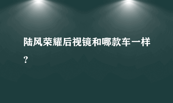 陆风荣耀后视镜和哪款车一样？