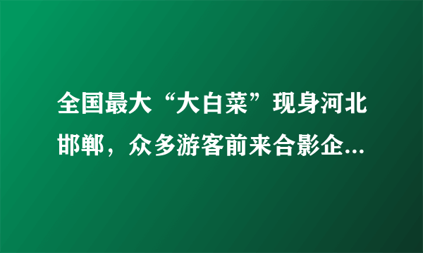 全国最大“大白菜”现身河北邯郸，众多游客前来合影企望百财聚来