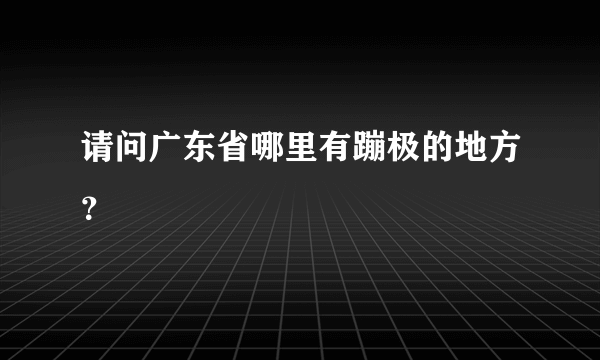 请问广东省哪里有蹦极的地方？