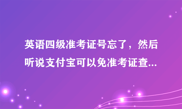 英语四级准考证号忘了，然后听说支付宝可以免准考证查询，但是我的支付宝并没有