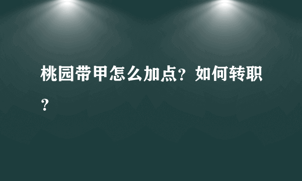 桃园带甲怎么加点？如何转职？