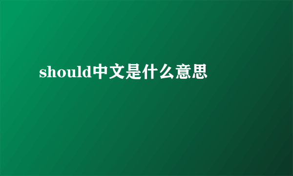 should中文是什么意思