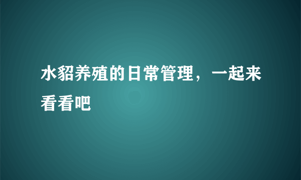 水貂养殖的日常管理，一起来看看吧