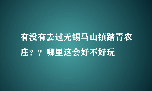 有没有去过无锡马山镇踏青农庄？？哪里这会好不好玩