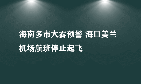 海南多市大雾预警 海口美兰机场航班停止起飞