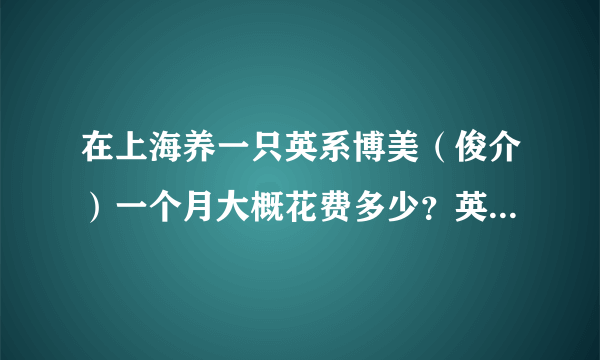 在上海养一只英系博美（俊介）一个月大概花费多少？英系博美可以一个人在家吗？每个星期有两天不能陪它？