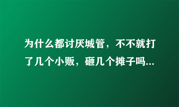 为什么都讨厌城管，不不就打了几个小贩，砸几个摊子吗，，他们跟你们有没有血缘关系，少一个小贩对你们买