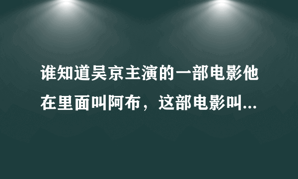 谁知道吴京主演的一部电影他在里面叫阿布，这部电影叫什么名字啊