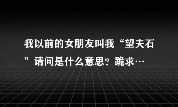 我以前的女朋友叫我“望夫石”请问是什么意思？跪求…