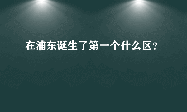 在浦东诞生了第一个什么区？