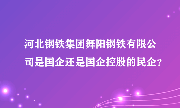 河北钢铁集团舞阳钢铁有限公司是国企还是国企控股的民企？