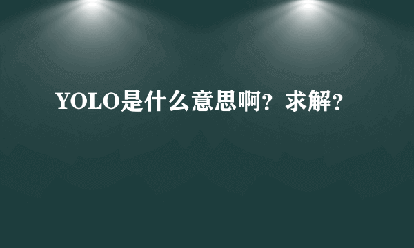 YOLO是什么意思啊？求解？