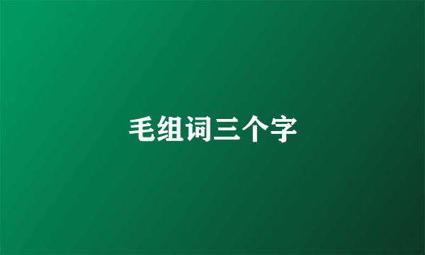 毛组词三个字