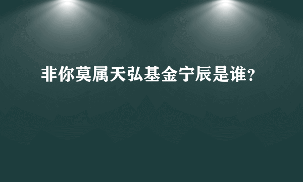 非你莫属天弘基金宁辰是谁？