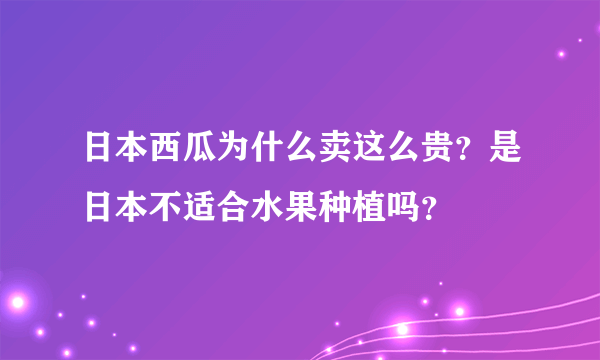 日本西瓜为什么卖这么贵？是日本不适合水果种植吗？