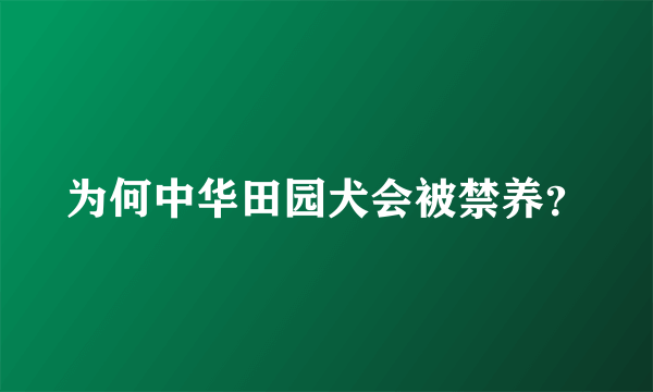 为何中华田园犬会被禁养？