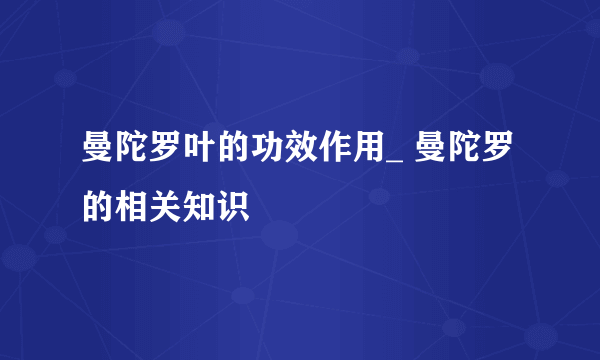 曼陀罗叶的功效作用_ 曼陀罗的相关知识