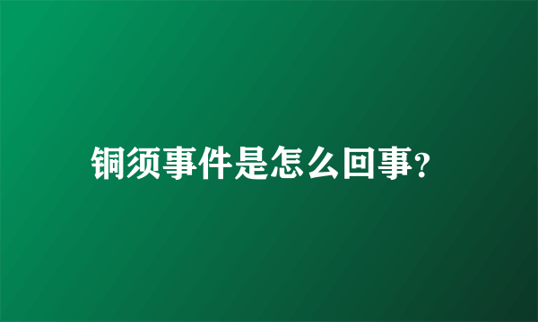 铜须事件是怎么回事？