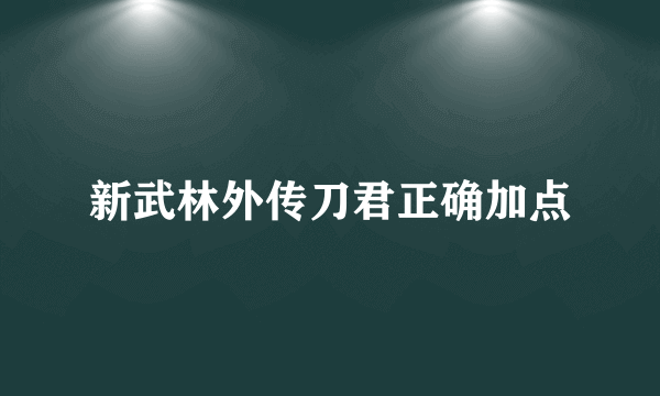 新武林外传刀君正确加点