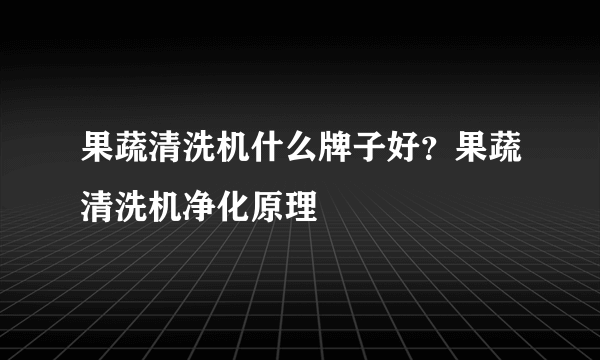 果蔬清洗机什么牌子好？果蔬清洗机净化原理