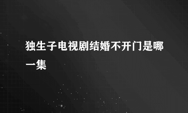 独生子电视剧结婚不开门是哪一集