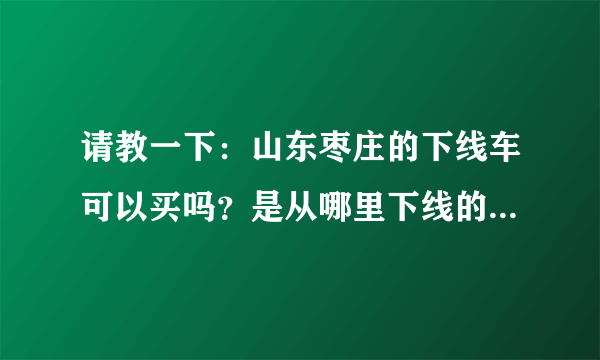 请教一下：山东枣庄的下线车可以买吗？是从哪里下线的车辆呢？我想买辆07的桑塔纳3000