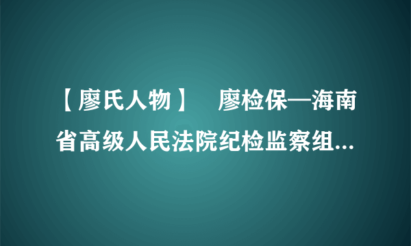 【廖氏人物】​廖检保—海南省高级人民法院纪检监察组组长，党组成员