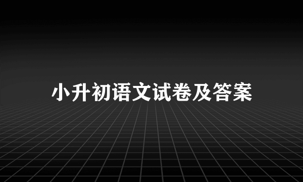 小升初语文试卷及答案