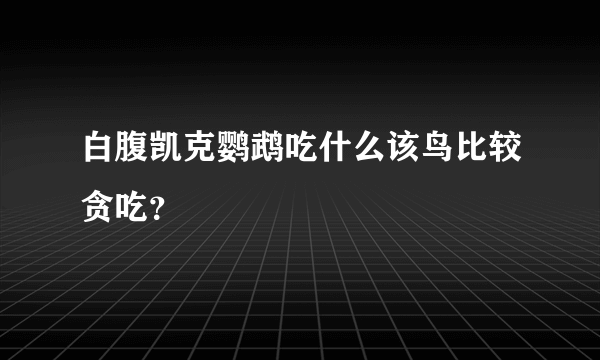 白腹凯克鹦鹉吃什么该鸟比较贪吃？