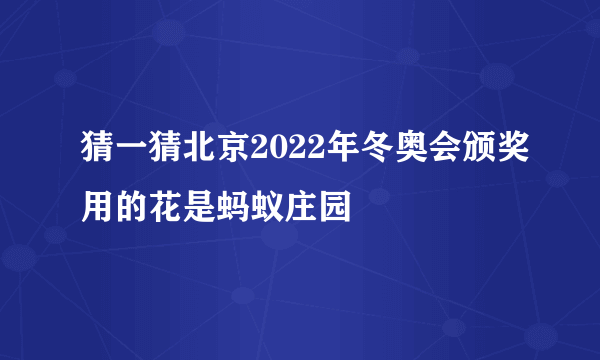 猜一猜北京2022年冬奥会颁奖用的花是蚂蚁庄园