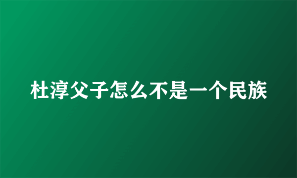 杜淳父子怎么不是一个民族