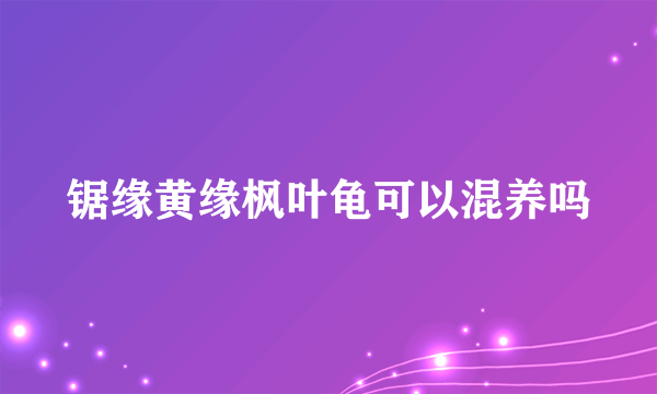 锯缘黄缘枫叶龟可以混养吗