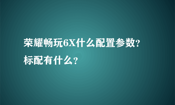 荣耀畅玩6X什么配置参数？标配有什么？