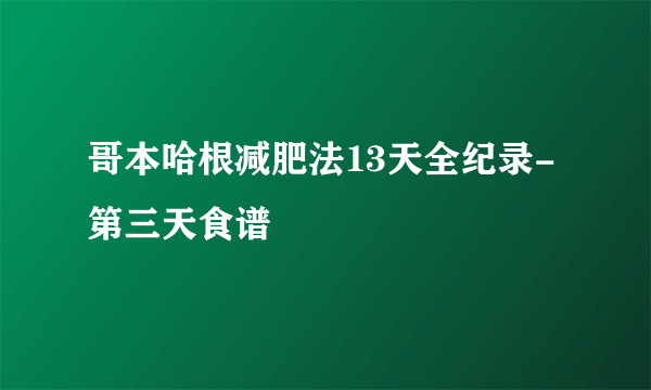 哥本哈根减肥法13天全纪录-第三天食谱