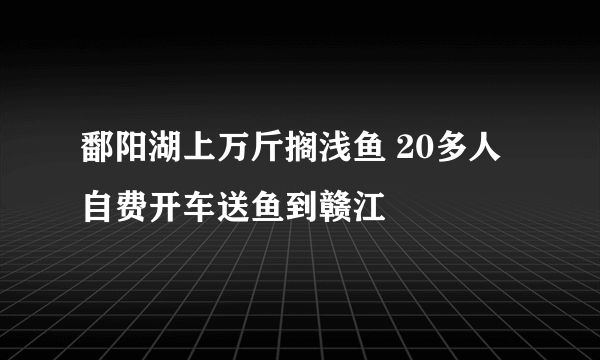 鄱阳湖上万斤搁浅鱼 20多人自费开车送鱼到赣江