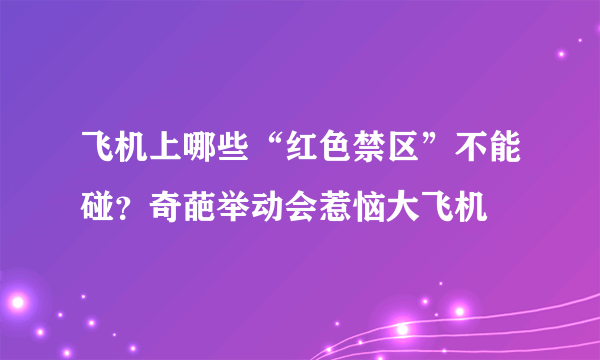 飞机上哪些“红色禁区”不能碰？奇葩举动会惹恼大飞机