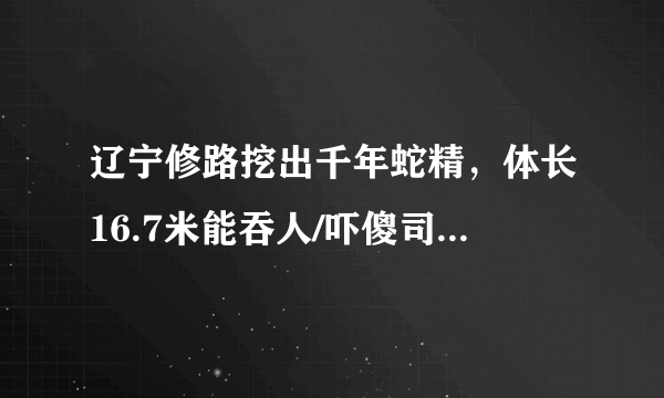 辽宁修路挖出千年蛇精，体长16.7米能吞人/吓傻司机(图片)