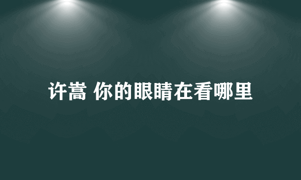 许嵩 你的眼睛在看哪里