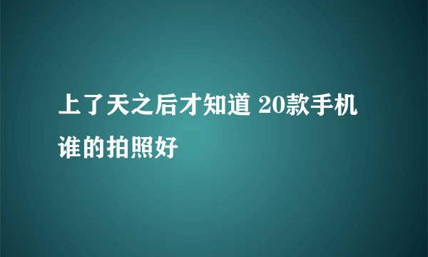 上了天之后才知道 20款手机谁的拍照好