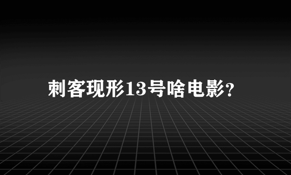 刺客现形13号啥电影？