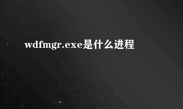 wdfmgr.exe是什么进程